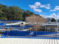 Commercial Roofing Safety Rail